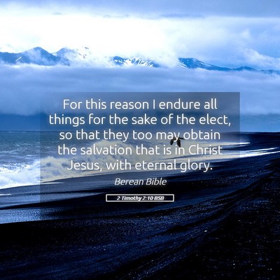 Picture 05 - 2 Timothy 2:10 BSB - For this reason I endure all things for the sake - Bible Verse Picture