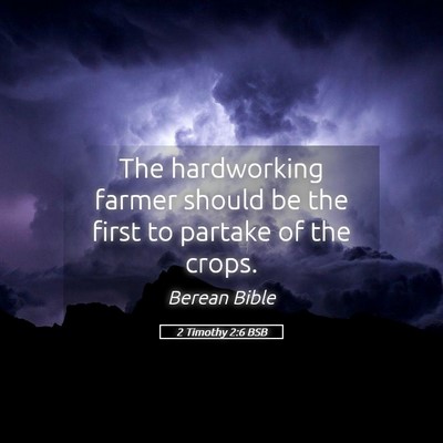 Picture 05 - 2 Timothy 2:6 BSB - The hardworking farmer should be the first to - Bible Verse Picture