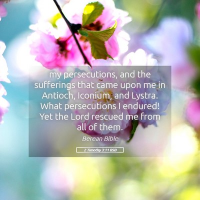 Picture 05 - 2 Timothy 3:11 BSB - my persecutions, and the sufferings that came - Bible Verse Picture