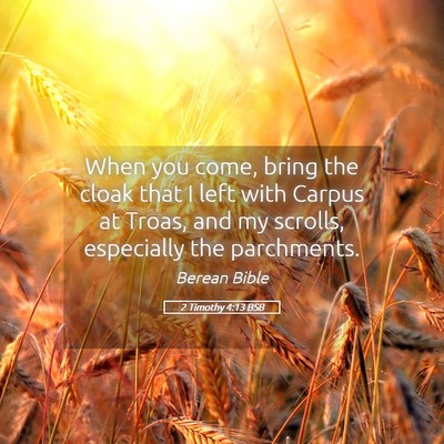 Picture 05 - 2 Timothy 4:13 BSB - When you come, bring the cloak that I left with - Bible Verse Picture