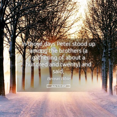 Picture 05 - Acts 1:15 BSB - In those days Peter stood up among the brothers - Bible Verse Picture
