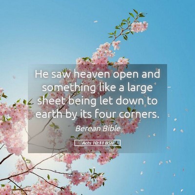 Picture 05 - Acts 10:11 BSB - He saw heaven open and something like a large - Bible Verse Picture