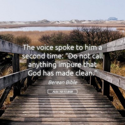 Picture 05 - Acts 10:15 BSB - The voice spoke to him a second time: “Do not - Bible Verse Picture