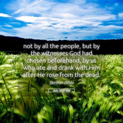 Picture 05 - Acts 10:41 BSB - not by all the people, but by the witnesses God - Bible Verse Picture