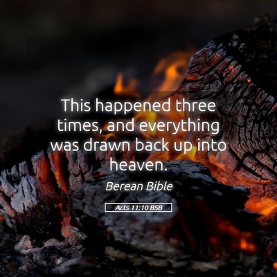 Picture 05 - Acts 11:10 BSB - This happened three times, and everything was - Bible Verse Picture
