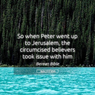 Picture 05 - Acts 11:2 BSB - So when Peter went up to Jerusalem, the - Bible Verse Picture
