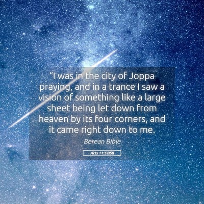 Picture 05 - Acts 11:5 BSB - “I was in the city of Joppa praying, and in a - Bible Verse Picture