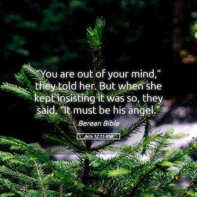 Picture 05 - Acts 12:15 BSB - “You are out of your mind,” they told her. - Bible Verse Picture