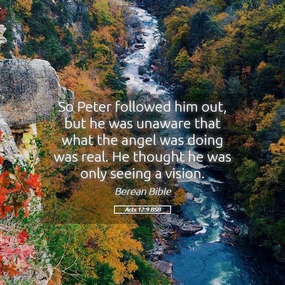Picture 05 - Acts 12:9 BSB - So Peter followed him out, but he was unaware - Bible Verse Picture