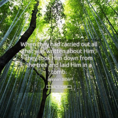 Picture 05 - Acts 13:29 BSB - When they had carried out all that was written - Bible Verse Picture