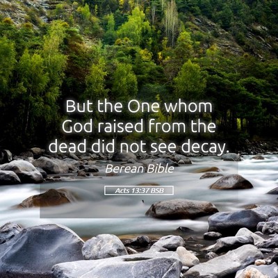 Picture 05 - Acts 13:37 BSB - But the One whom God raised from the dead did not - Bible Verse Picture