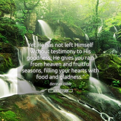 Picture 05 - Acts 14:17 BSB - Yet He has not left Himself without testimony to - Bible Verse Picture