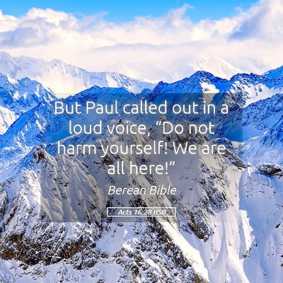 Picture 05 - Acts 16:28 BSB - But Paul called out in a loud voice, “Do not - Bible Verse Picture