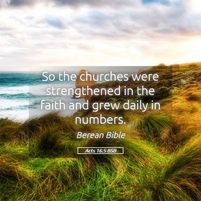 Picture 05 - Acts 16:5 BSB - So the churches were strengthened in the faith - Bible Verse Picture