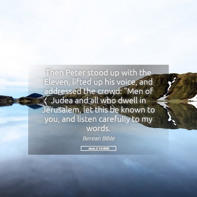 Picture 05 - Acts 2:14 BSB - Then Peter stood up with the Eleven, lifted up - Bible Verse Picture