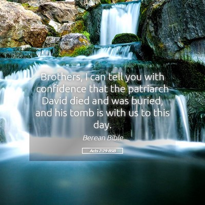 Picture 05 - Acts 2:29 BSB - Brothers, I can tell you with confidence that the - Bible Verse Picture