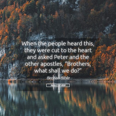 Picture 05 - Acts 2:37 BSB - When the people heard this, they were cut to the - Bible Verse Picture