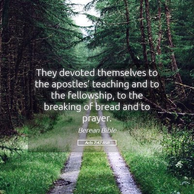 Picture 05 - Acts 2:42 BSB - They devoted themselves to the apostles’ - Bible Verse Picture