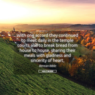 Picture 05 - Acts 2:46 BSB - With one accord they continued to meet daily in - Bible Verse Picture