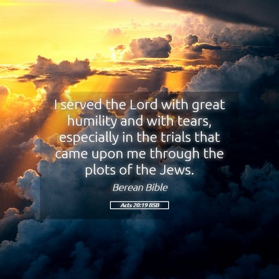 Picture 05 - Acts 20:19 BSB - I served the Lord with great humility and with - Bible Verse Picture