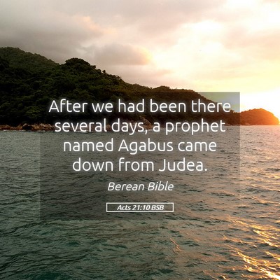 Picture 05 - Acts 21:10 BSB - After we had been there several days, a prophet - Bible Verse Picture