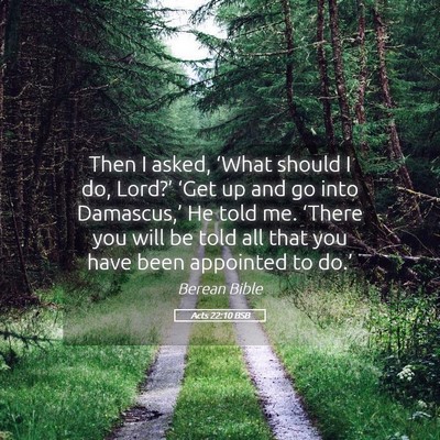 Picture 05 - Acts 22:10 BSB - Then I asked, ‘What should I do, Lord?’ - Bible Verse Picture
