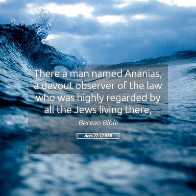Picture 05 - Acts 22:12 BSB - There a man named Ananias, a devout observer of - Bible Verse Picture