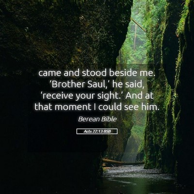 Picture 05 - Acts 22:13 BSB - came and stood beside me. ‘Brother Saul,’ he - Bible Verse Picture