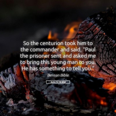Picture 05 - Acts 23:18 BSB - So the centurion took him to the commander and - Bible Verse Picture