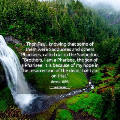 Picture 05 - Acts 23:6 BSB - Then Paul, knowing that some of them were - Bible Verse Picture