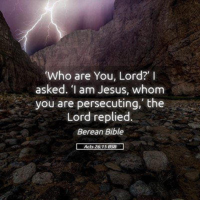 Picture 05 - Acts 26:15 BSB - ‘Who are You, Lord?’ I asked. ‘I am Jesus, - Bible Verse Picture