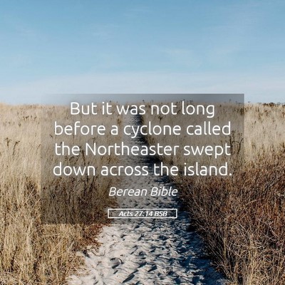 Picture 05 - Acts 27:14 BSB - But it was not long before a cyclone called the - Bible Verse Picture