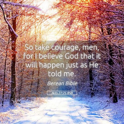 Picture 05 - Acts 27:25 BSB - So take courage, men, for I believe God that it - Bible Verse Picture