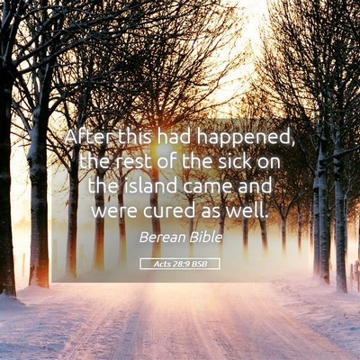 Picture 05 - Acts 28:9 BSB - After this had happened, the rest of the sick on - Bible Verse Picture