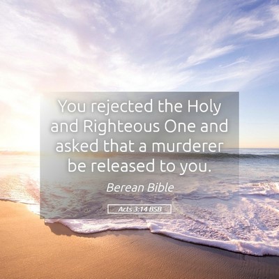 Picture 05 - Acts 3:14 BSB - You rejected the Holy and Righteous One and asked - Bible Verse Picture