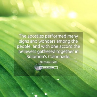 Picture 05 - Acts 5:12 BSB - The apostles performed many signs and wonders - Bible Verse Picture