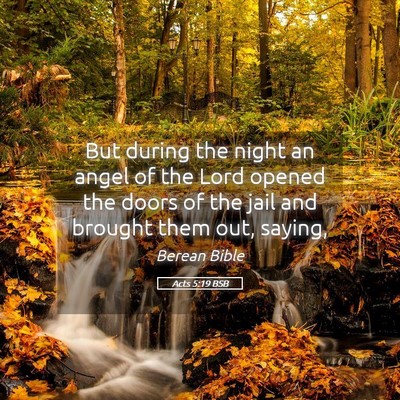 Picture 05 - Acts 5:19 BSB - But during the night an angel of the Lord opened - Bible Verse Picture