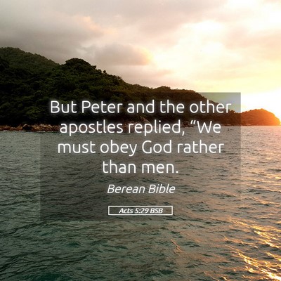 Picture 05 - Acts 5:29 BSB - But Peter and the other apostles replied, “We - Bible Verse Picture