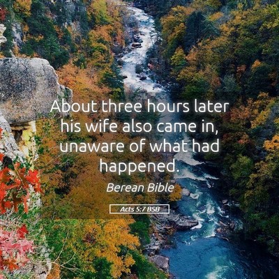 Picture 05 - Acts 5:7 BSB - About three hours later his wife also came in, - Bible Verse Picture