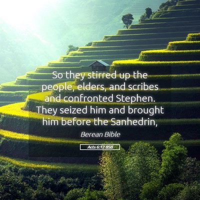 Picture 05 - Acts 6:12 BSB - So they stirred up the people, elders, and - Bible Verse Picture