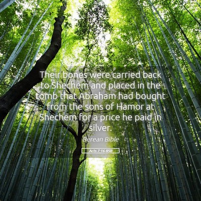 Picture 05 - Acts 7:16 BSB - Their bones were carried back to Shechem and - Bible Verse Picture