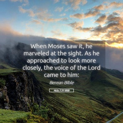 Picture 05 - Acts 7:31 BSB - When Moses saw it, he marveled at the sight. As - Bible Verse Picture