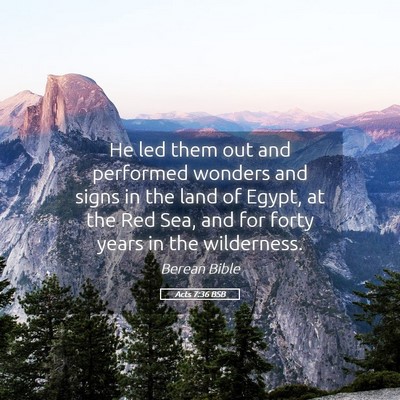 Picture 05 - Acts 7:36 BSB - He led them out and performed wonders and signs - Bible Verse Picture