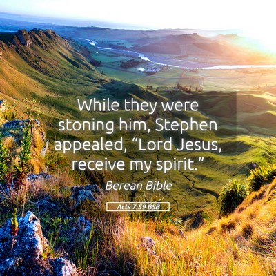 Picture 05 - Acts 7:59 BSB - While they were stoning him, Stephen appealed, - Bible Verse Picture