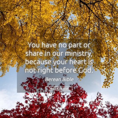 Picture 05 - Acts 8:21 BSB - You have no part or share in our ministry, - Bible Verse Picture