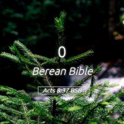 Picture 05 - Acts 8:37 BSB -  - Bible Verse Picture