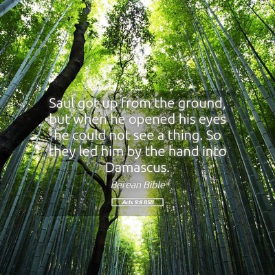 Picture 05 - Acts 9:8 BSB - Saul got up from the ground, but when he opened - Bible Verse Picture