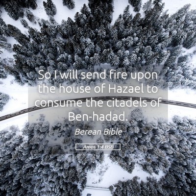 Picture 05 - Amos 1:4 BSB - So I will send fire upon the house of Hazael to - Bible Verse Picture