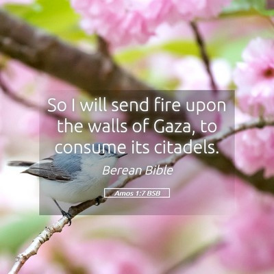 Picture 05 - Amos 1:7 BSB - So I will send fire upon the walls of Gaza, to - Bible Verse Picture