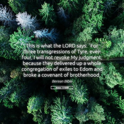 Picture 05 - Amos 1:9 BSB - This is what the LORD says: “For three - Bible Verse Picture